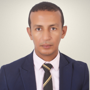 Mohamed Lemine Teyeb